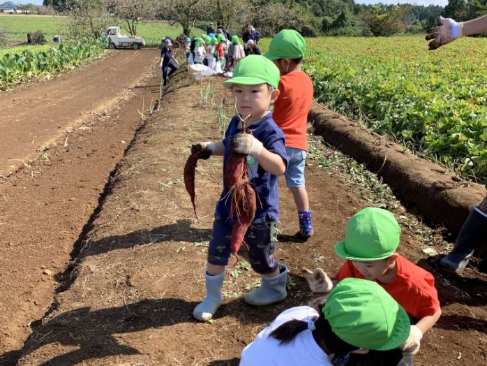 愛隣シャローム保育園　秋のイベント写真